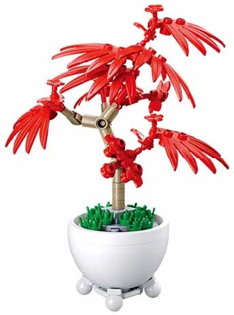 Sluban troopiline taim potis – punane bonsai-jaapanlill