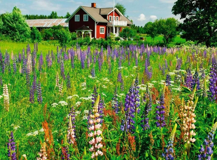 Pusle 500 tükki „Niit Rootsis”