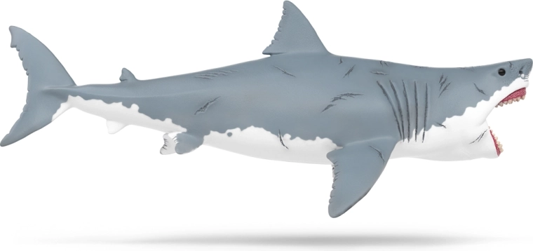 Realistic body details