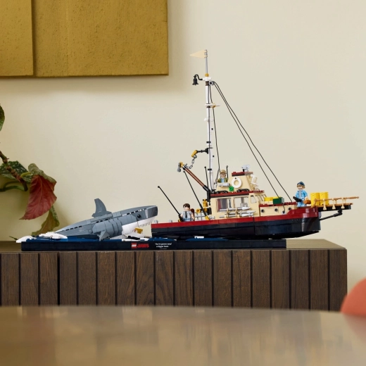 Shark display in two variants