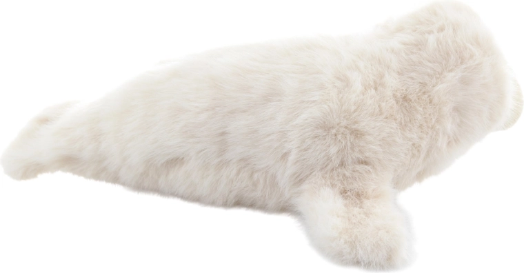 Turvaline alates sünnist