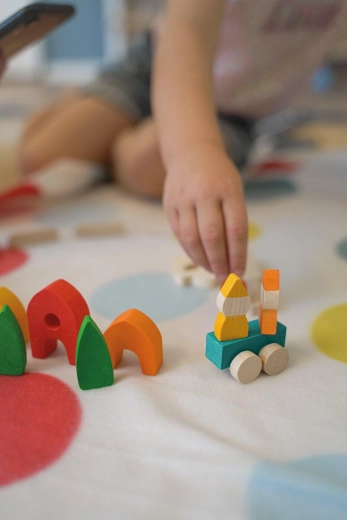 My little village – puidust ehituskomplekt goki Evolution