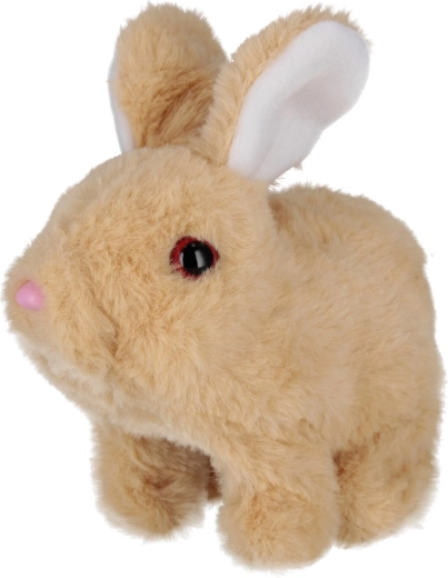 Armsad liigutused ja helid