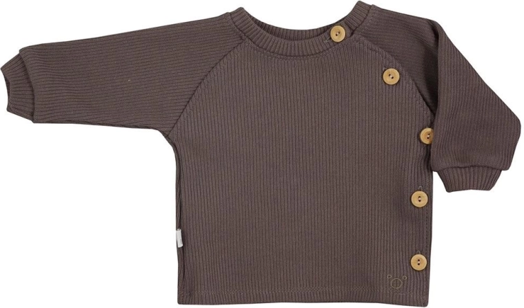 Baby long-sleeve T-shirt Koala Pure brown