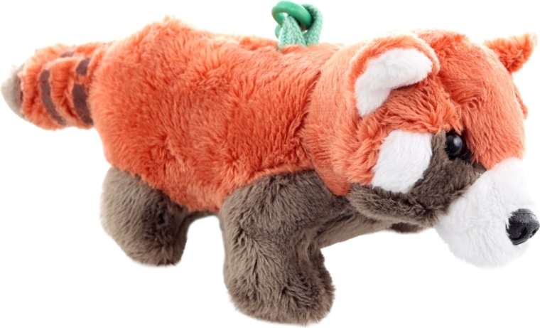 Armas punase panda välimus