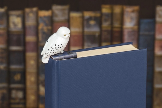 Detailne teostus Harry Potteri fännidele