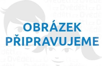 Puidust pusle Koer 500 tükki