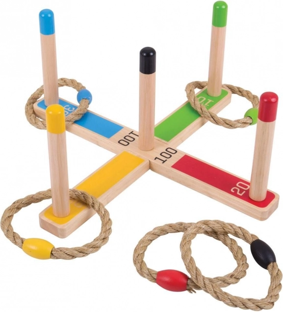Puidust rõngavise BIGJIGS TOYS