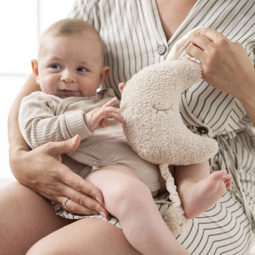 A practical companion at home and on the go