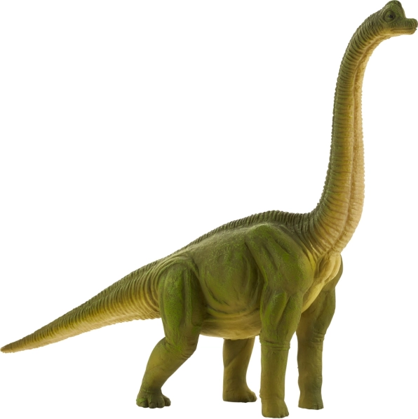 Mojo suur Brachiosaurus