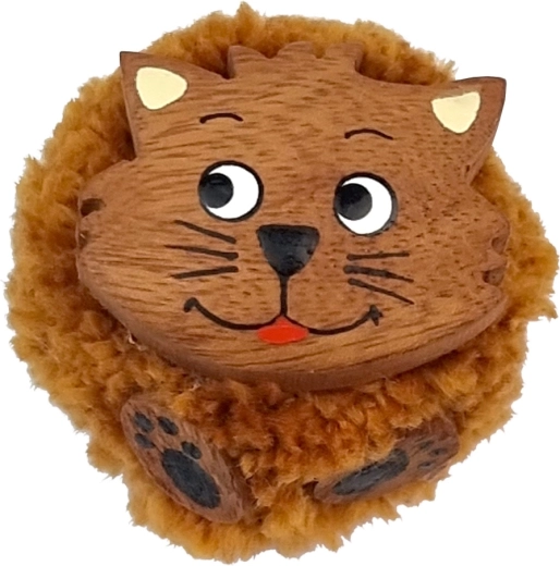 2Kids Toys puidust magnet tutiga – kass