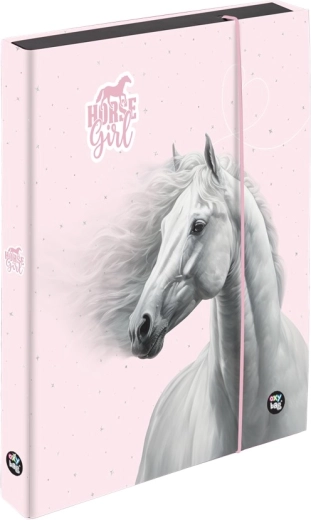 A5 Jumbo Exercise Book Box Horse Romantic