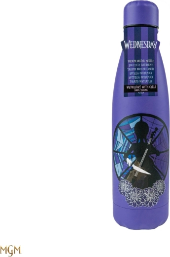 Wednesday roostevabast terasest termopudel „nägu” 500 ml