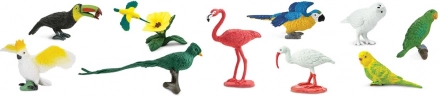 Safari Ltd. TOOBS toru eksootilised linnud