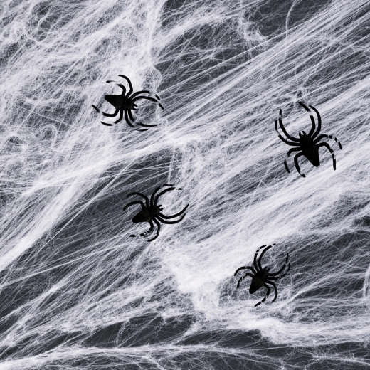 Halloweeni valge ämblikuvõrk ämblikega