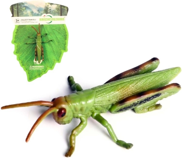 Plastic Grasshopper