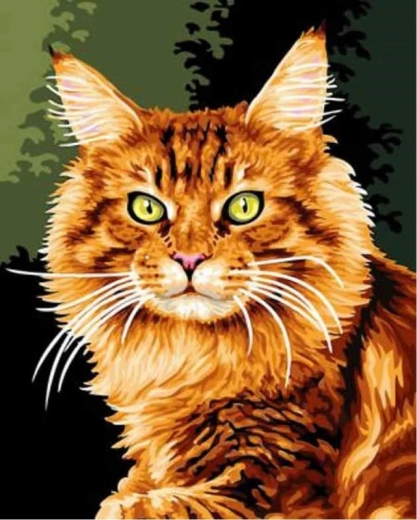 Paint by Numbers - Red Cat