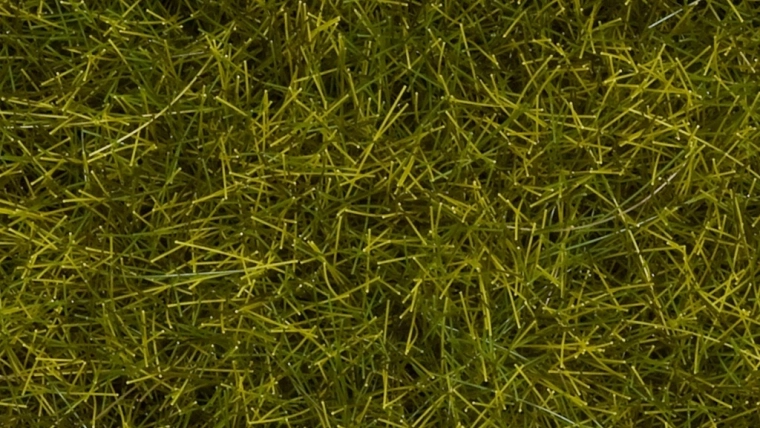 Noch staatiline rohi – metsik niit 12 mm