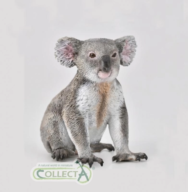Koala Collection