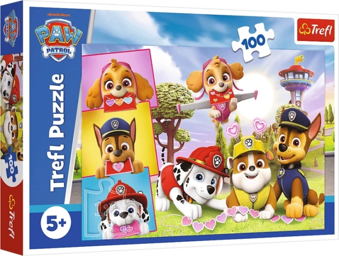 Pusle 100 tükki – Kartmatud tüdrukud – PAW PATROL – Trefl