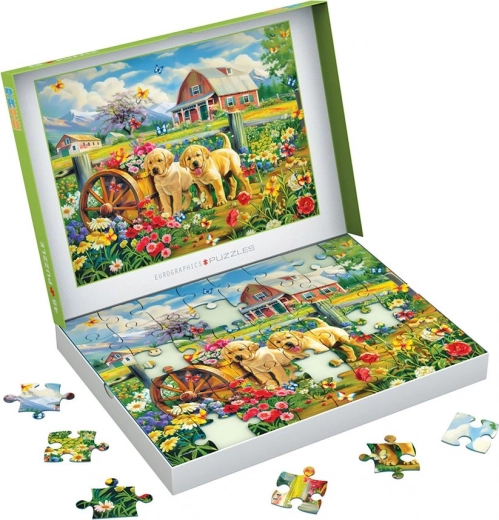Puzzle EUROGRAPHICS Connecting Pieces Kevadised kutsikad 48 tükki