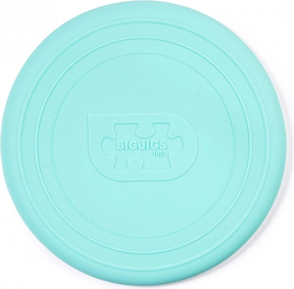 Frisbee Bigjigs Toys in Green Eggshell Color