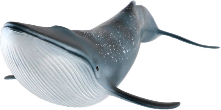 Suurus 27 cm