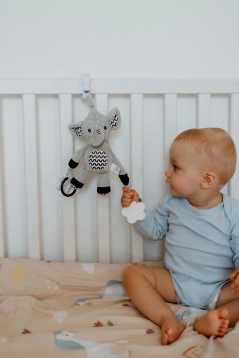 Õrn kõrin ja krabisevad kõrvad