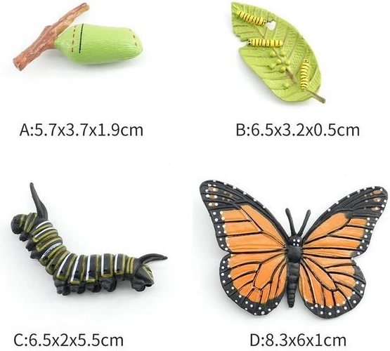 Liblika kujuke neljas arengufaasis