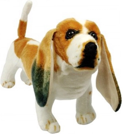 Paluskoer basset 44 cm