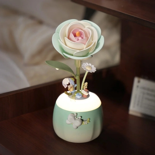 Night light with adjustable brightness