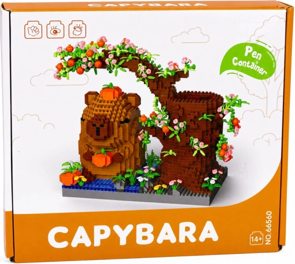 Gift packaging and an attractive capybara theme