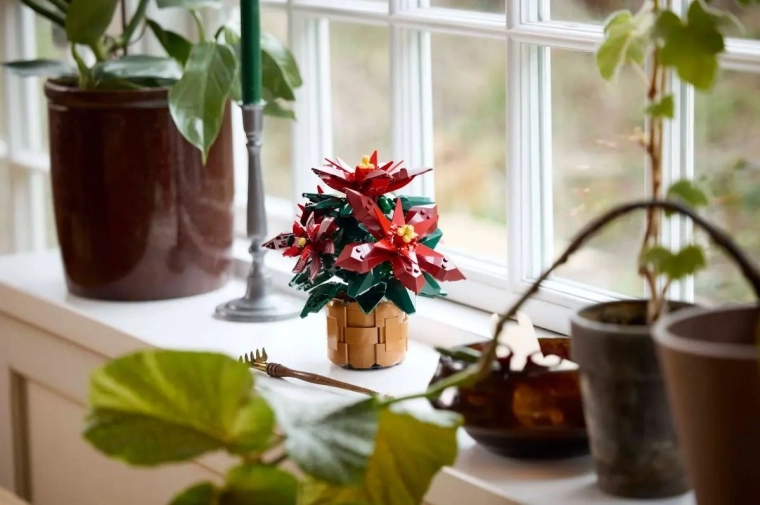 No-watering decoration for home and office