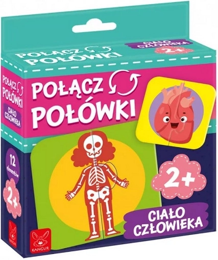 Match the Halves – Human Body Educational Puzzle
