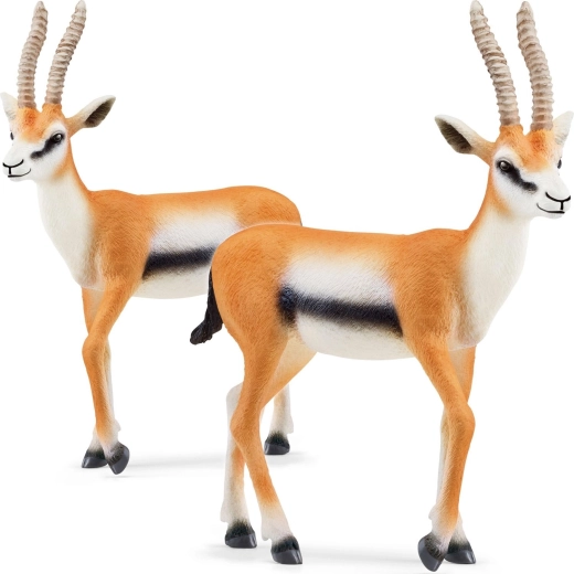 Thomsoni gaselli figuur WILD LIFE