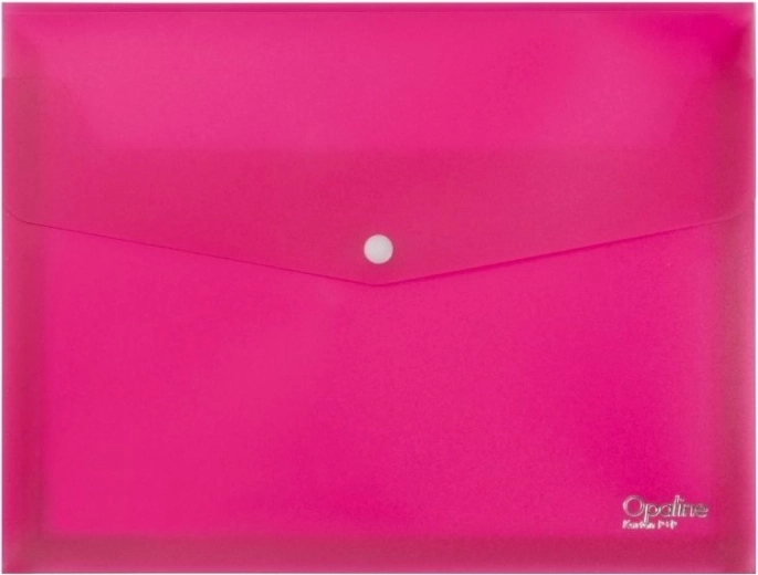 Spatial Folder A4 Opaline Pink
