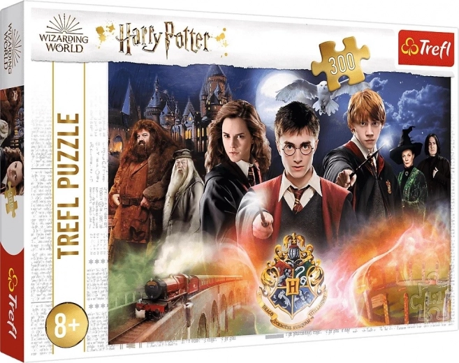 HARRY POTTER Puzzle – 300 pieces