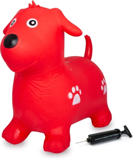 Pump komplektis ja lihtne hooldus