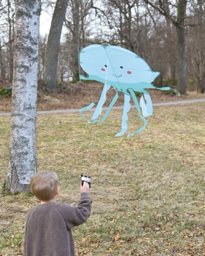 Lihtne juhtida ka väikestel algajatel