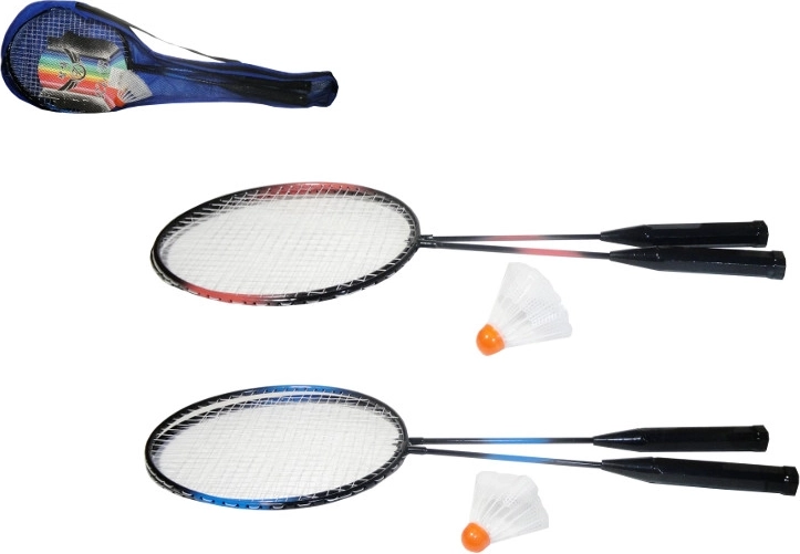 Badminton set in a case