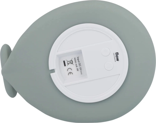 Rechargeable battery and charging via micro USB