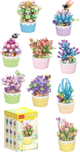 Florist sukulendid dekoratiivsetes lillepottides (9 liiki) – 1 tk