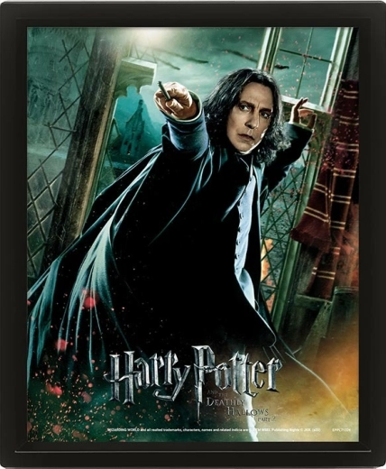 3D pilt HARRY POTTER – Severus Snape