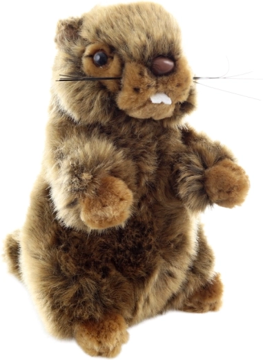 Turvaline alates sünnist