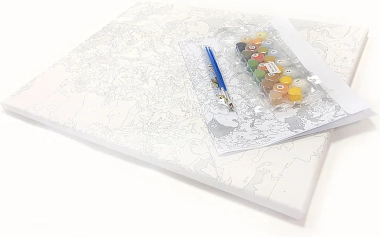Complete set: canvas, paints, brushes, and reference sheet