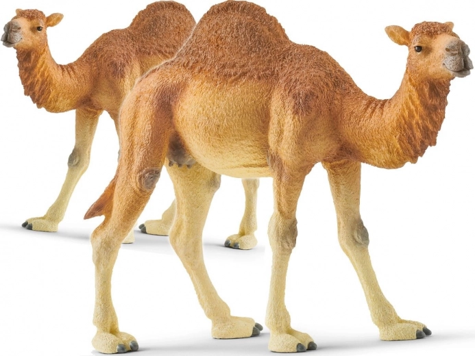 Schleich dromedary – Wild Life figurine