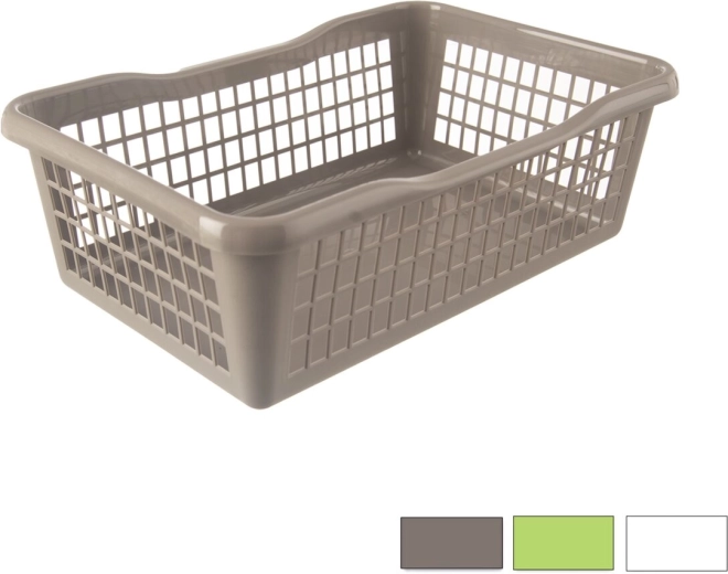 Plastist hoiukorv 30 × 20 × 10 cm, värvivalik