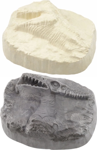 Realistic dinosaur “fossils”