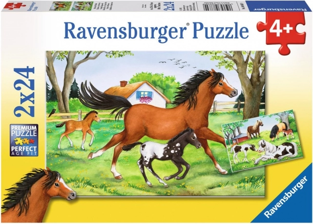 RAVENSBURGER pusle hobuste maailm 2×24 tükki