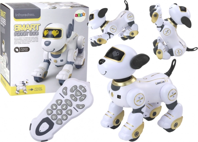 Interaktiivne kaugjuhtimisega robotkoer – laulab, tantsib ja reageerib puudutusele, kuldne